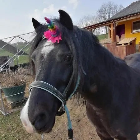 캠프장 Einzigartiges Wohnen Umgeben Von Natur Und Ponys *